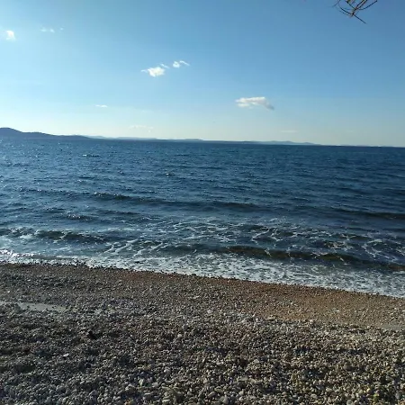 Eva * Zadar